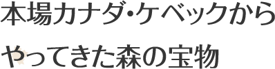 本場カナダ・ケベックから やってきた森の宝物